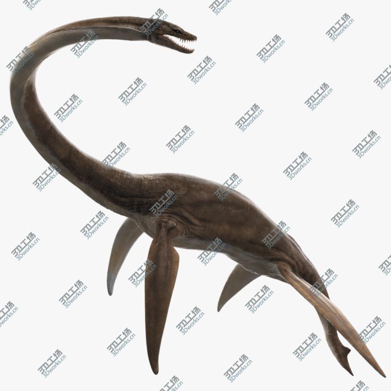 images/goods_img/202104021/3D Plesiosaur Rigged/1.jpg